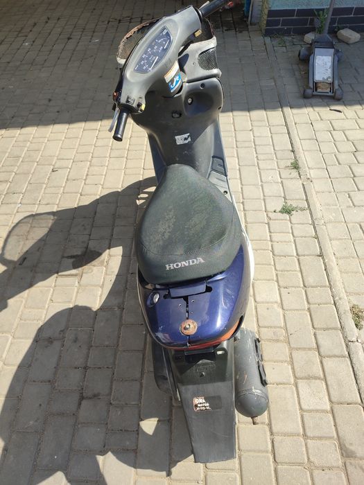 Honda dio Cesta Original