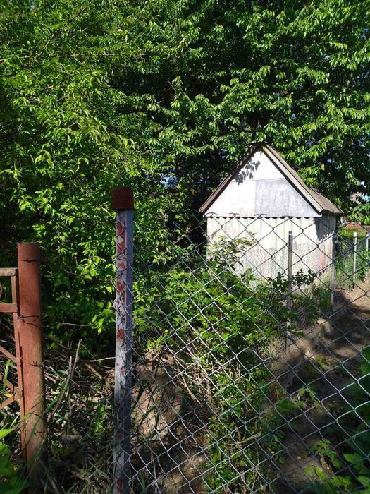 (3) Продам земельну ділянку в с. Сальник 5795