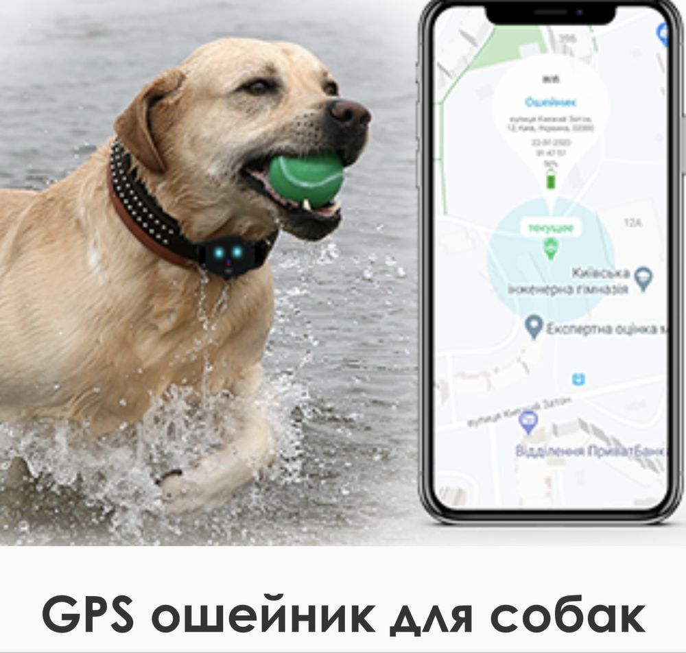 Gps трекер ошийник myox mpt-47