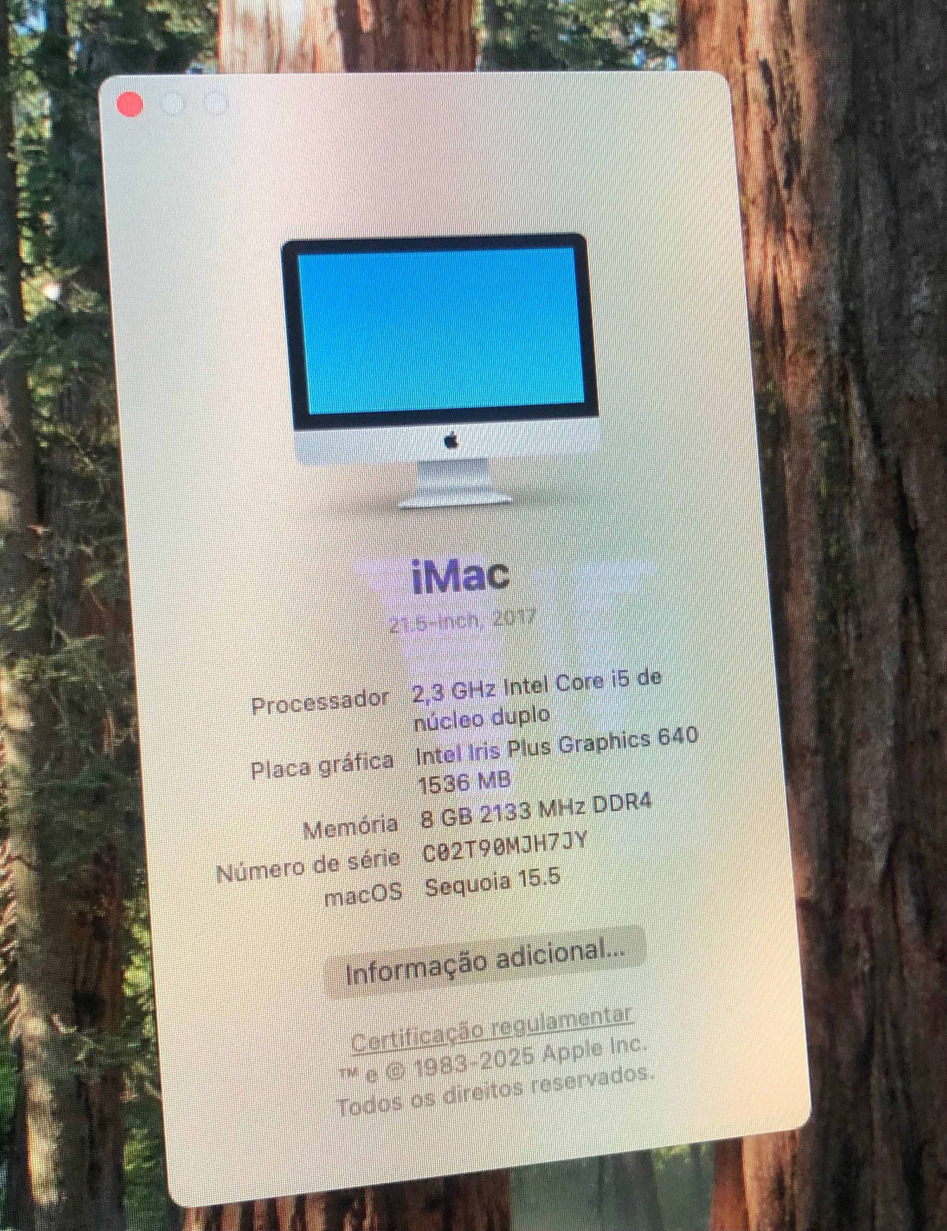 iMac 2017 21.5" SSD500 Crucial Sequoia