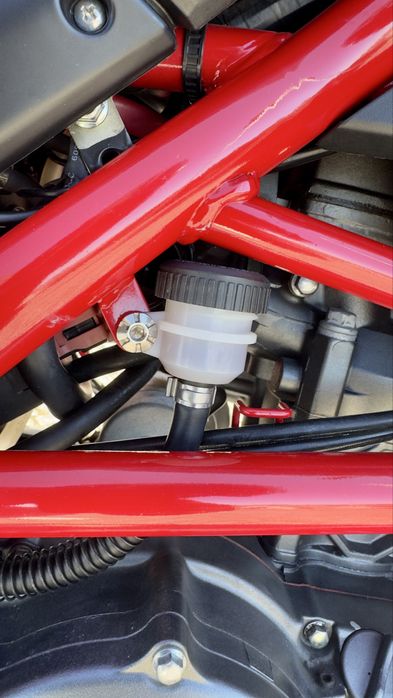 Benelli Bn251 de 2019