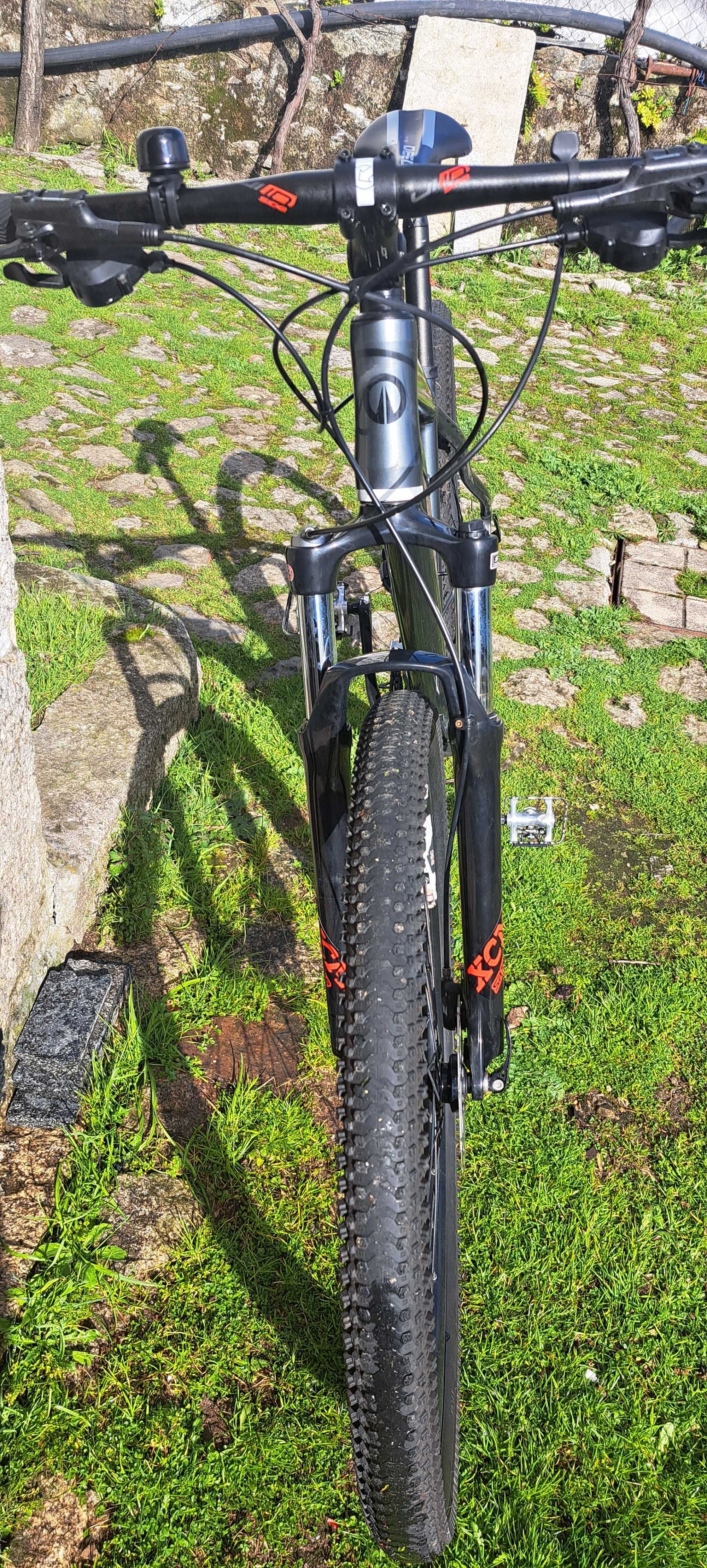 Bicicleta Deed Flame 293 BBT