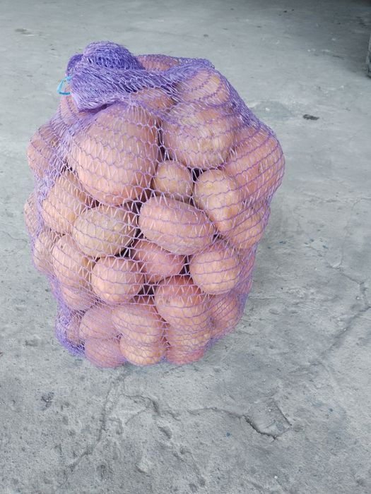 Ziemniaki jadalne obiadowe