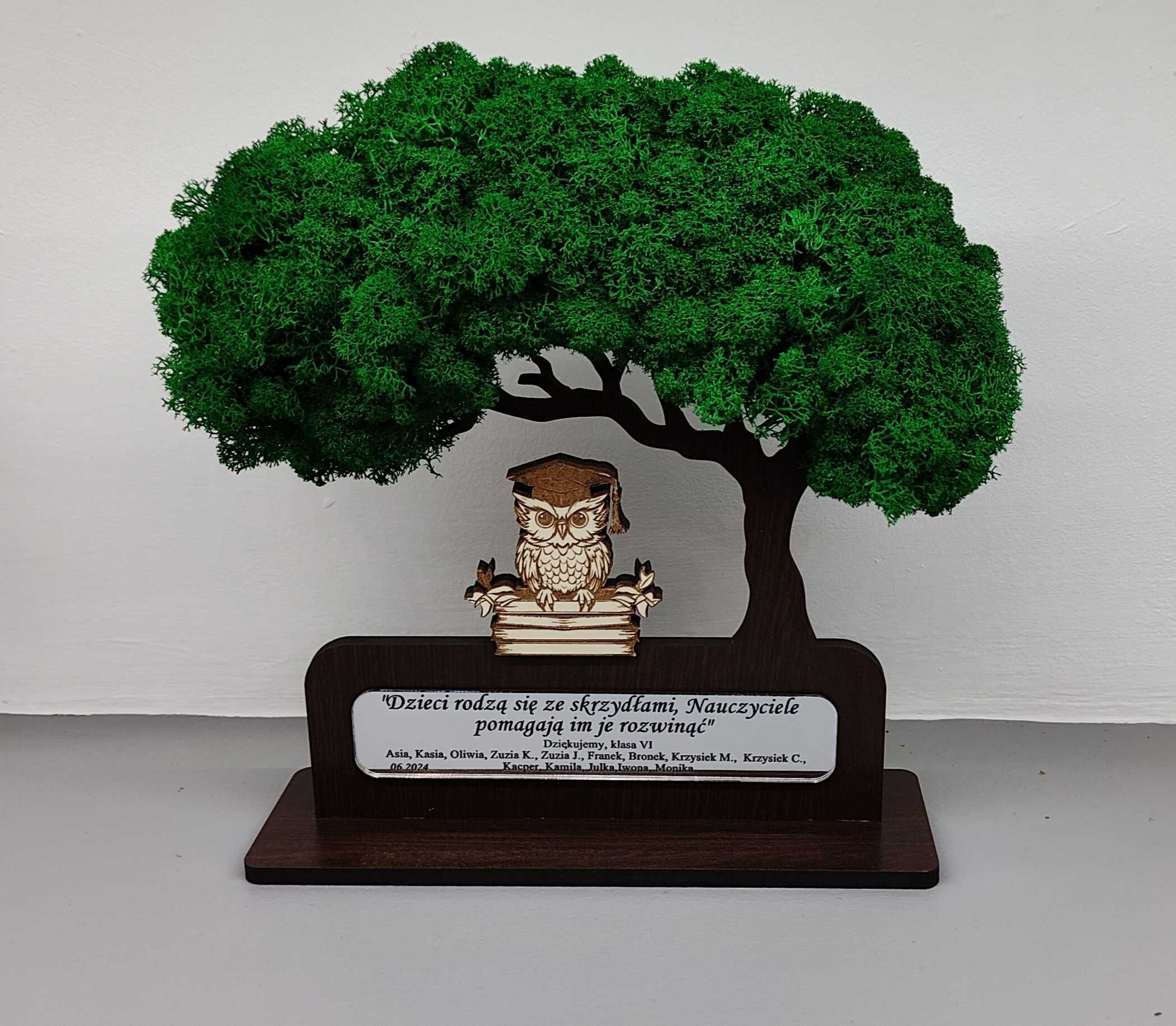 Drzewo bonsai mech 3D stojące zakończenie roku sowa książki dowol graw