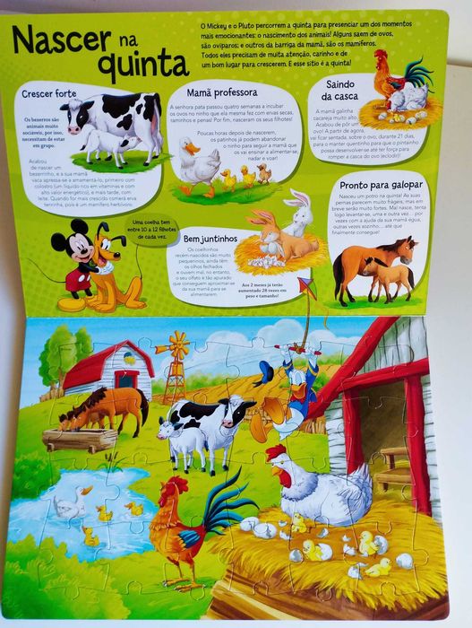 Coleção A Casa do Mickey Mouse + Oferta