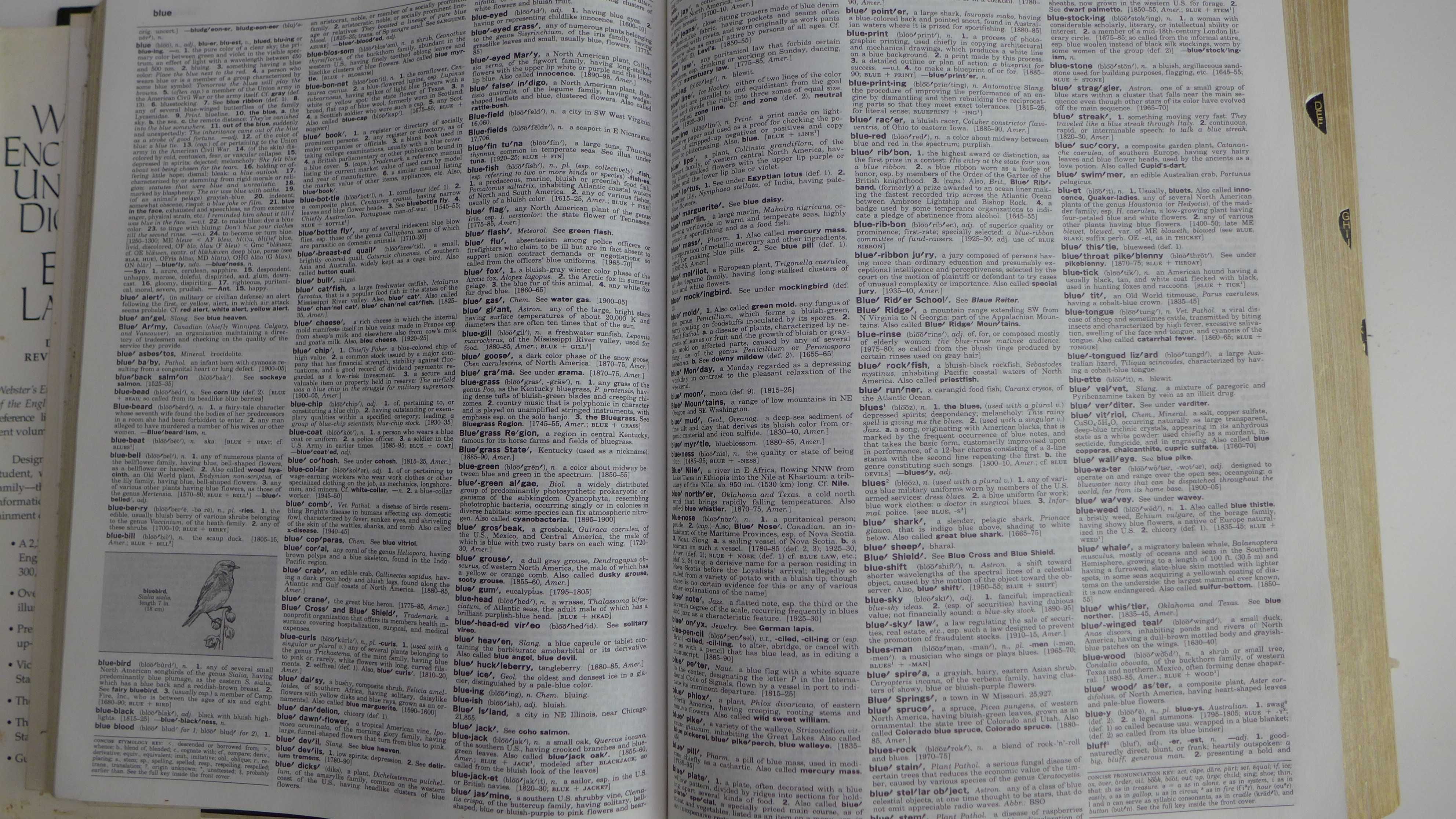 WEBSTER's Encyclopedic Unabridged Dictionary of the English Language