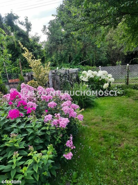 Działka z Kw i Mpzp Okazja!