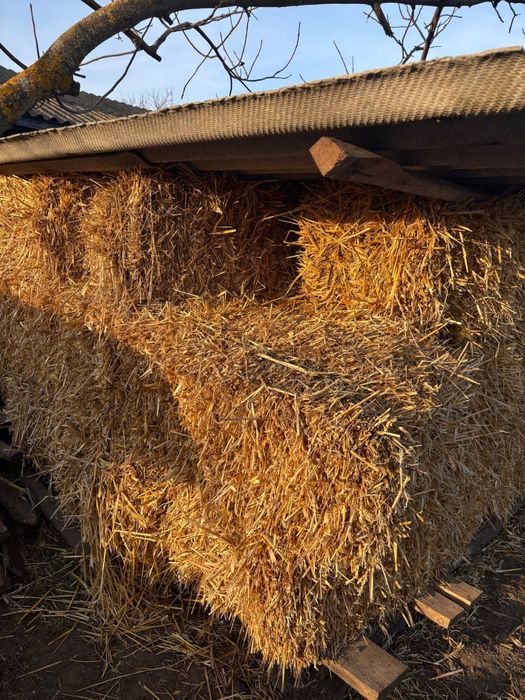 Продам тюкі сіна та соломи