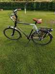 Rower męski Gazelle Eclipse
