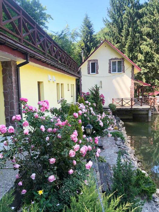 Новий рік Різдво Подобово в ШАЯН БАНЯ будинок Закарпатье Карпаты