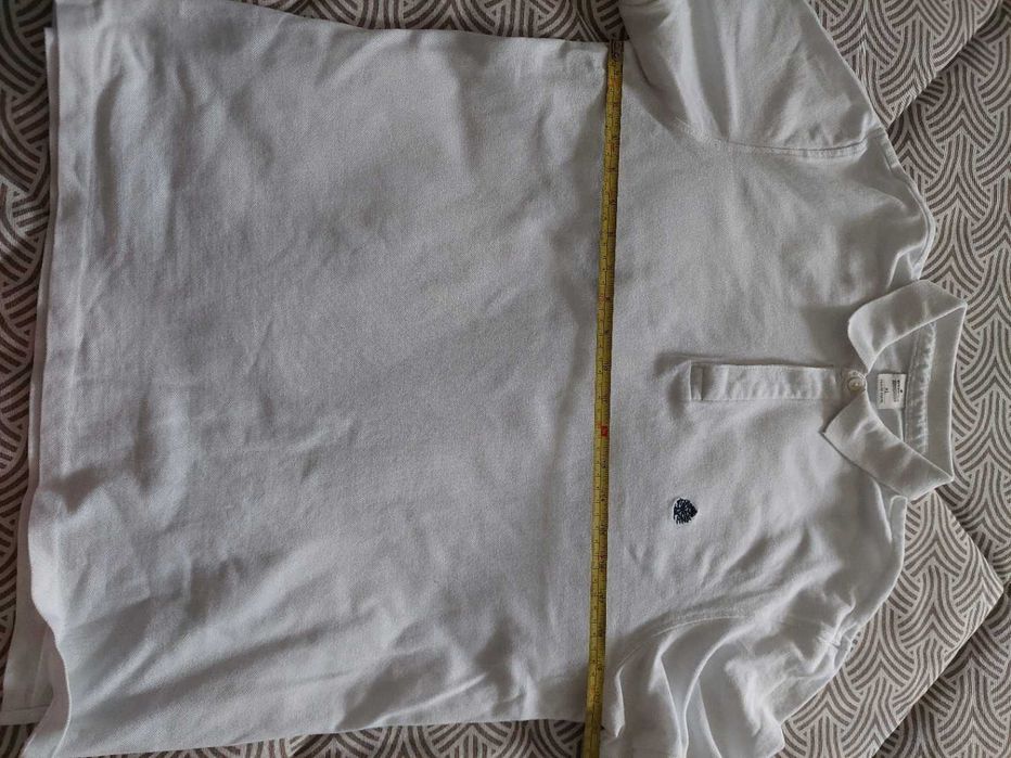 Polo – Springfield – tamanho XL