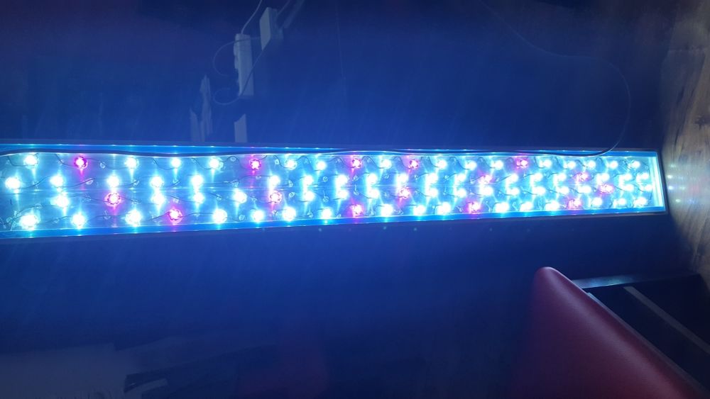 Belka Power Led na zamówienie (10cm.)