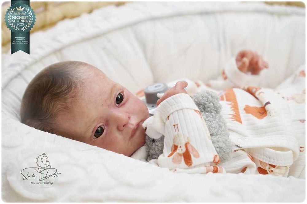 Studio Doll reborn doll - Ana Gudrun Legler prawdziwy reborn 3D skóra