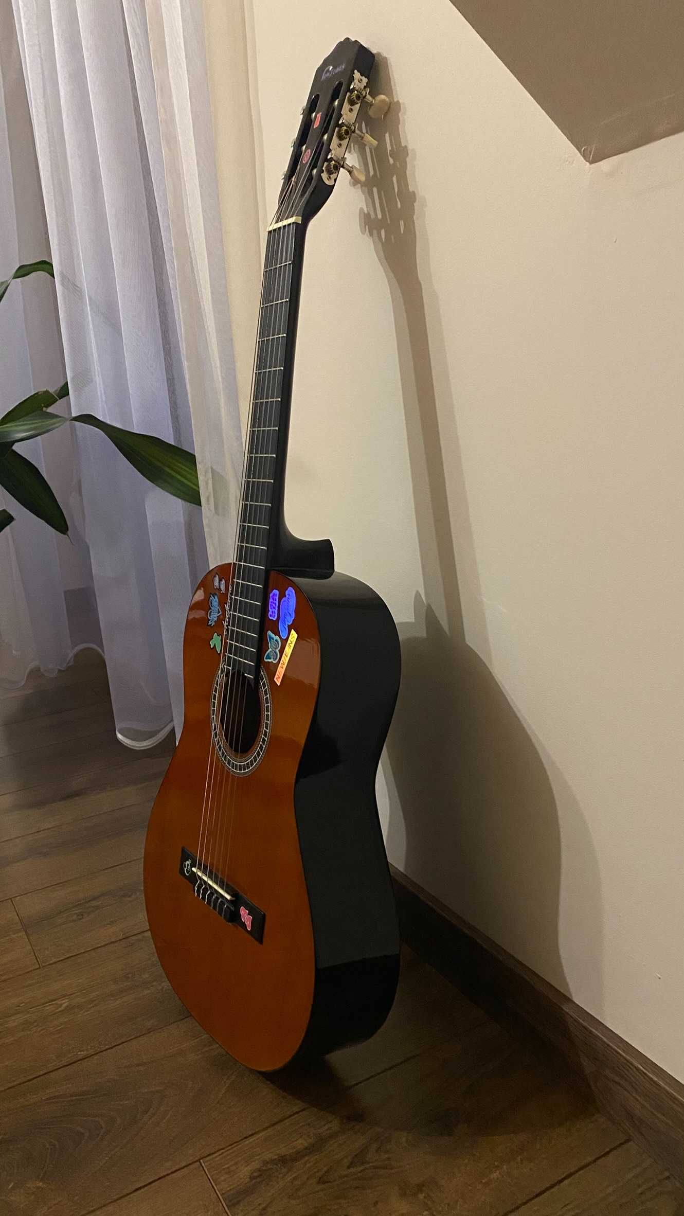 Gitara Ever Play EV-123 Iga