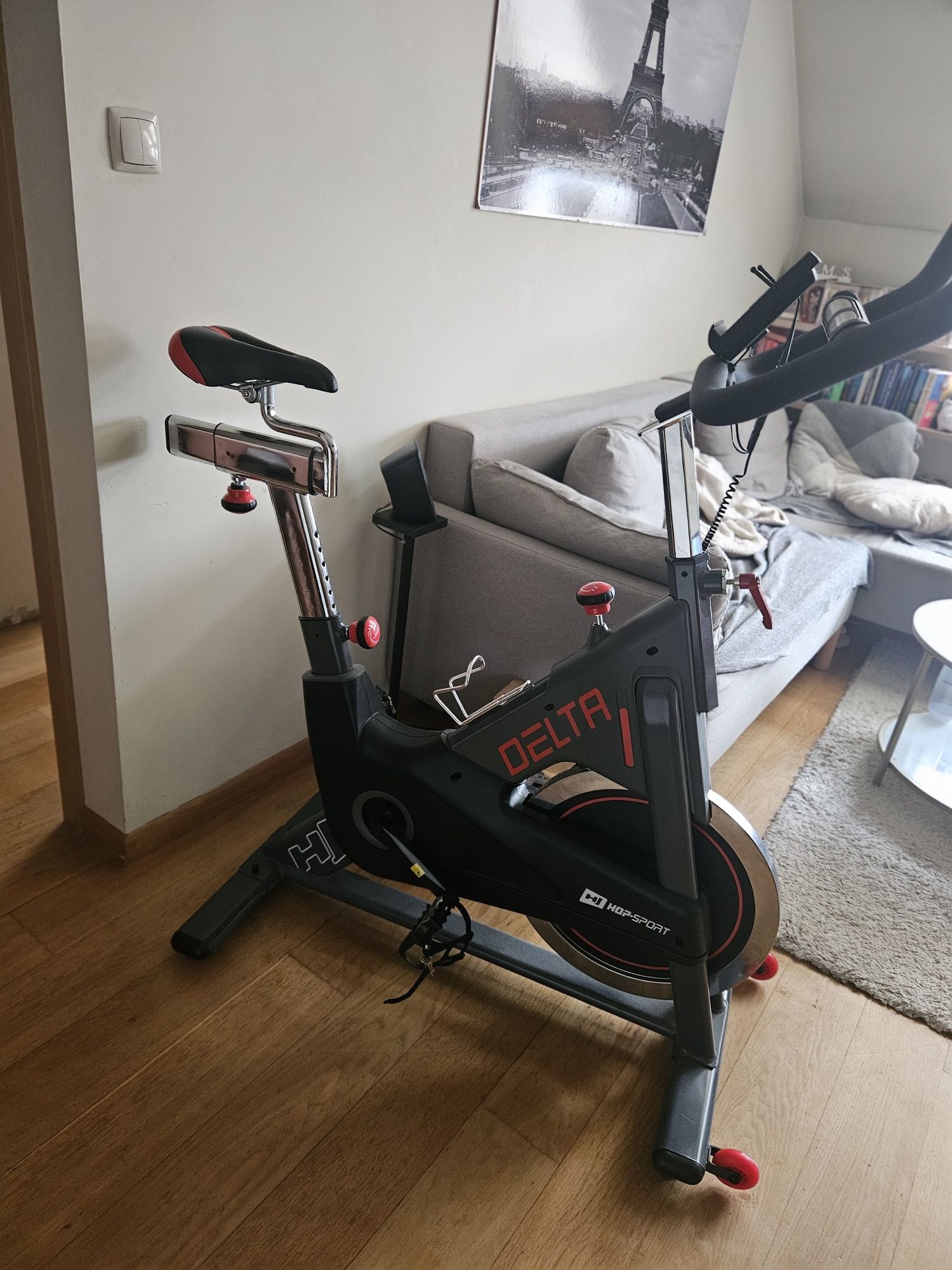 Rower spinigowy HS-065IC Delta