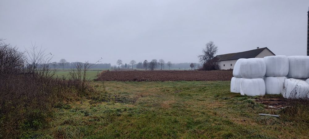 Sprzedam 1ha ziemi uprawnej , rolną (siedlisko)