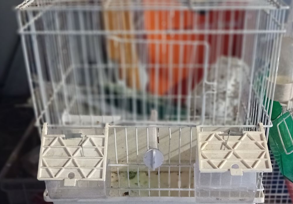 Vendo Gaiolas usadas