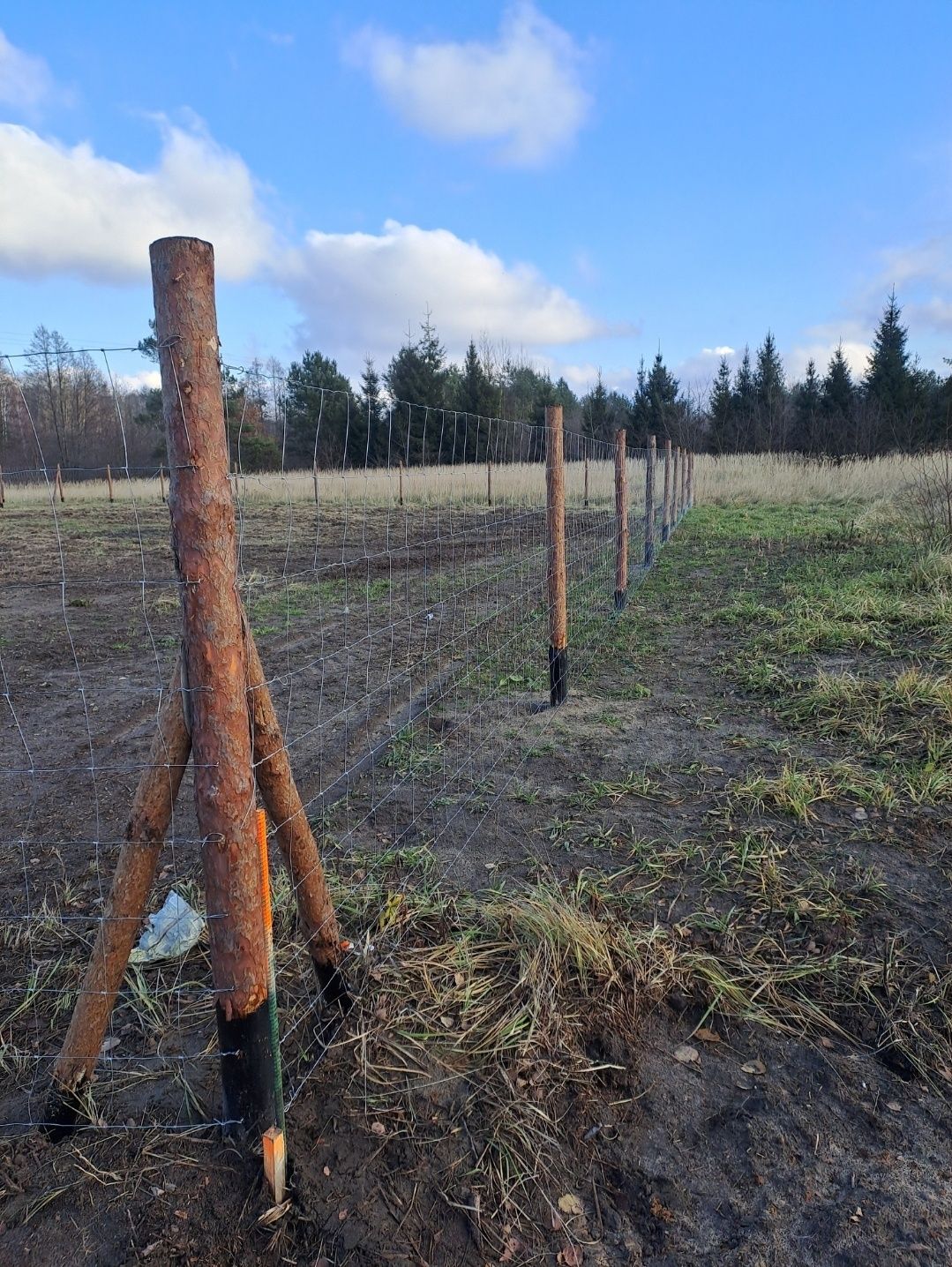 Ogrodzenie budowlane i leśne Siatka leśna