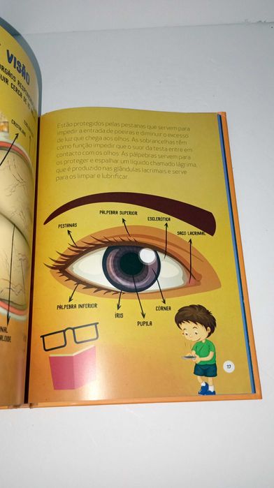 À descoberta do corpo humano