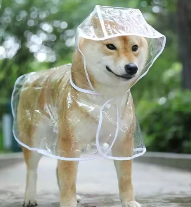 Дощовик для собак