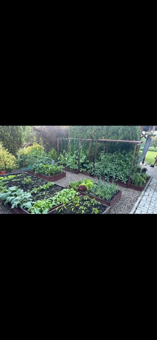 Dzialka rod kamionka