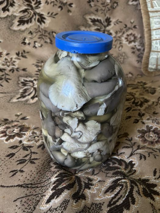 Гриб вешенка маринованая обьем банки 3л Смачна