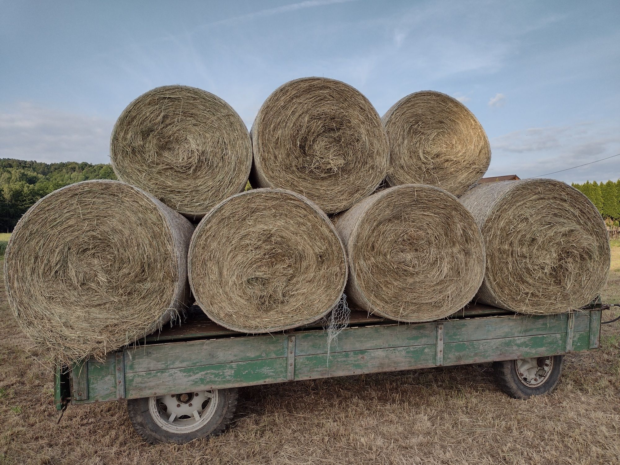 bele siana bardzo dobrej jakości transport