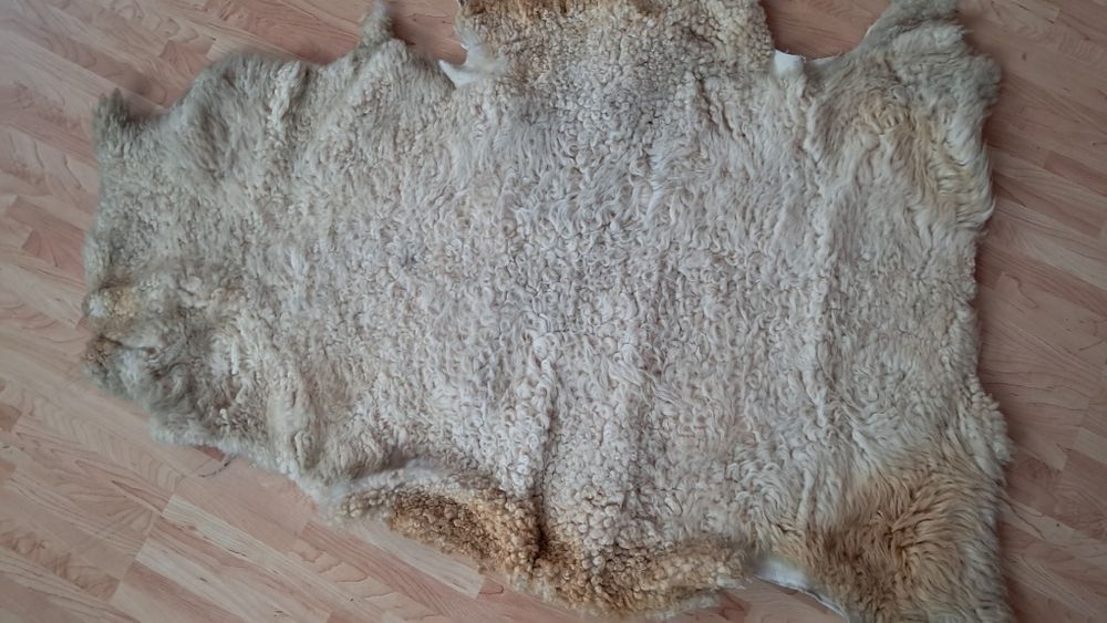 Skóry Owcze wyprawione na surowo