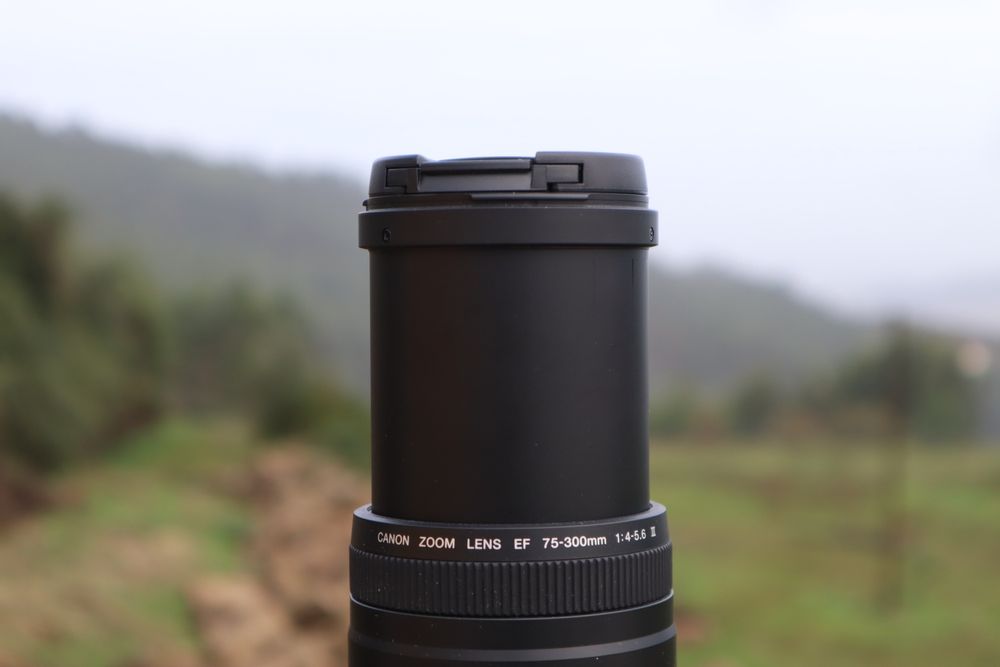 Canon EF 75-300 mm F/4-5.6 III