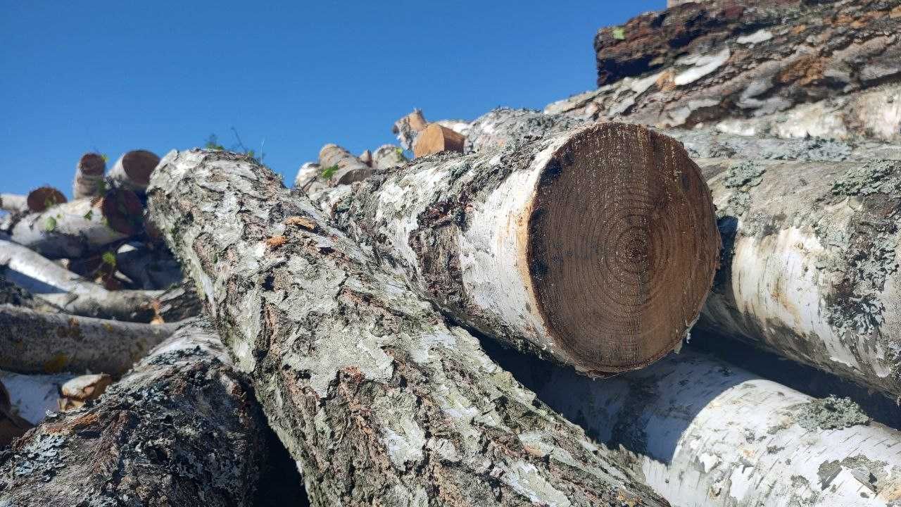 Дрова твердих порід зі швидкою та надійною доставкою без передоплати!