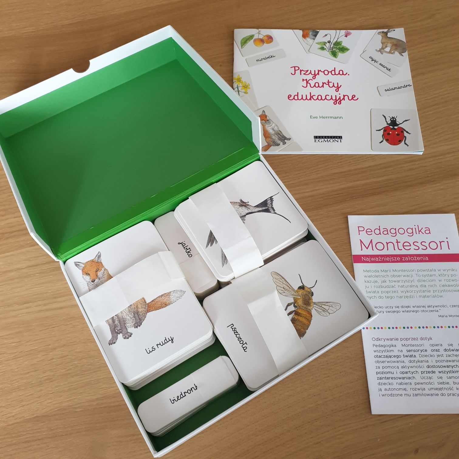 Biblioteczka Montessori Przyroda Egmont karty edukacyjne