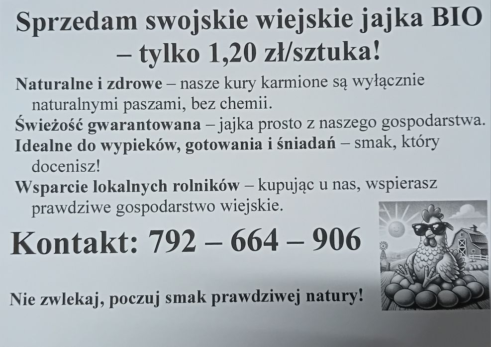 Sprzedarz jaj kurzych