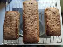 Świeży chleb z ekologicznej SAMOPSZY na zakwasie, trójfazowy 1,2kg