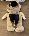 Urso Peluche Grande