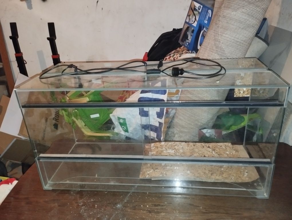 Terrarium używane