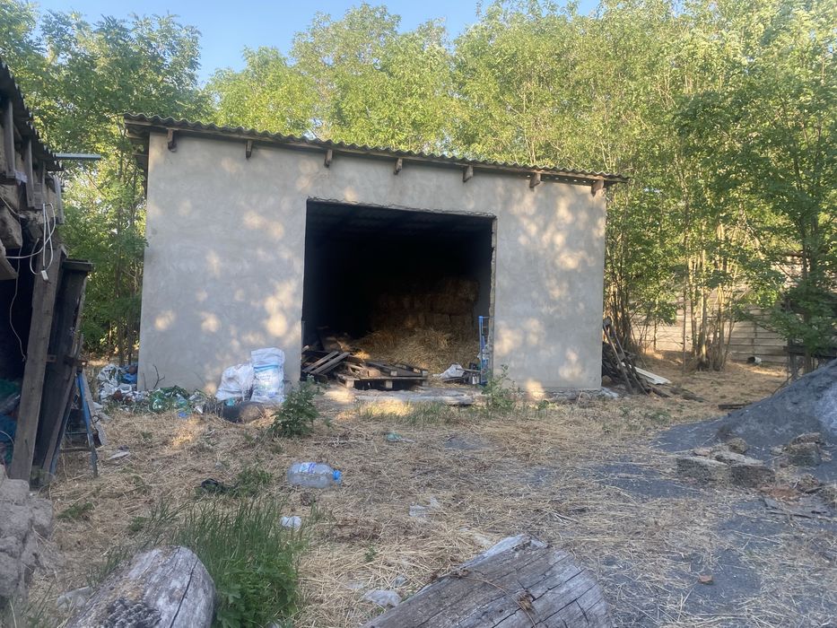 Будинок в Грушівці з великою ділянкою