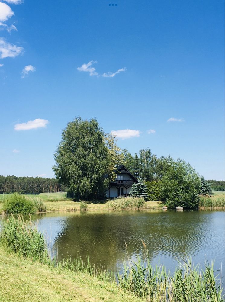 Domek nad stawem w okolicy Boszkowa