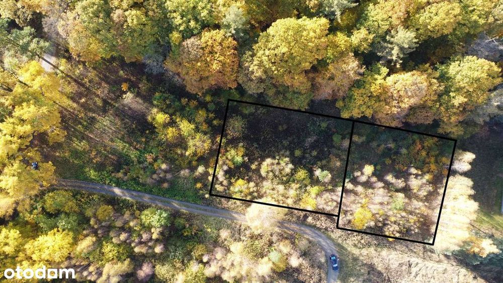 Urokliwa działka przy lesie – 16 ar, plan zagospodarowania, Milicz