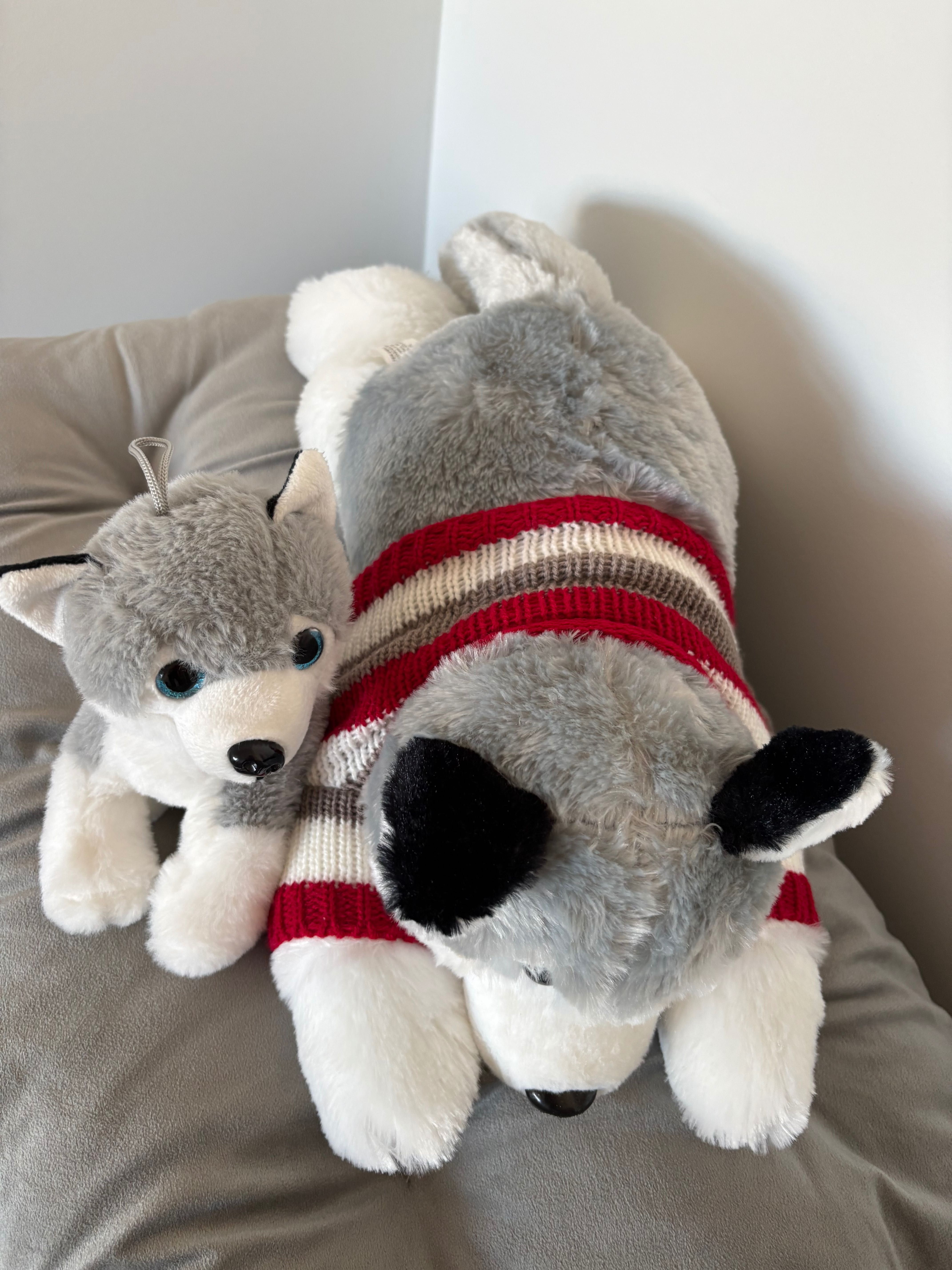 Zabawka pluszowa, maskotka pies Husky
