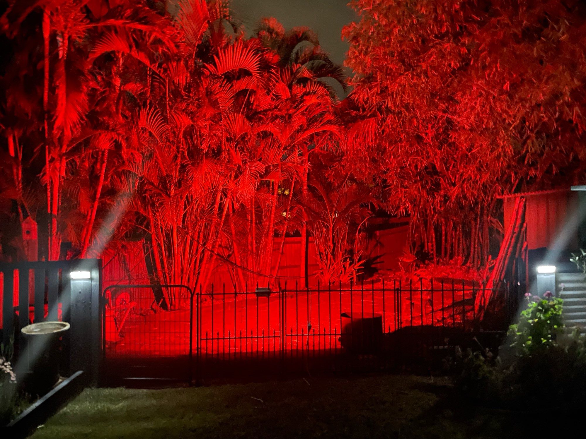50W Led Holofote IP66 comando 16 cores