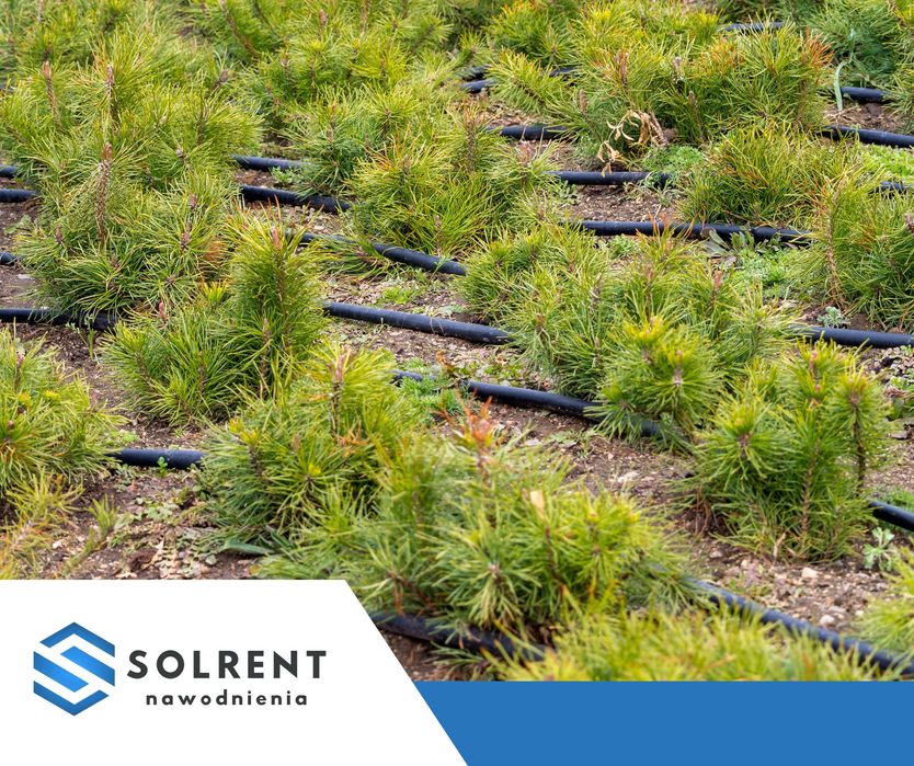Profesjonalne systemy nawadniające – projekt i wykonanie!