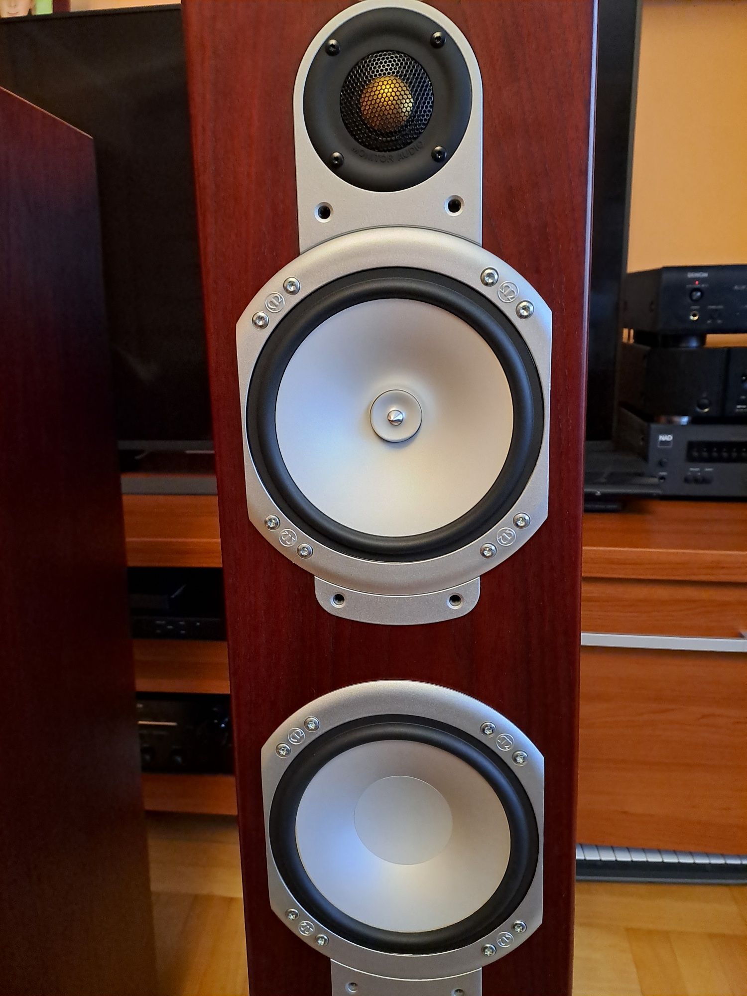 Kolumny głośnikowe Monitor Audio rs6