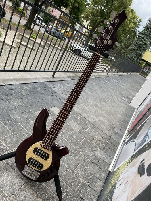 Music Man Bongo 5 HH - gitara basowa + Futerał + Pas