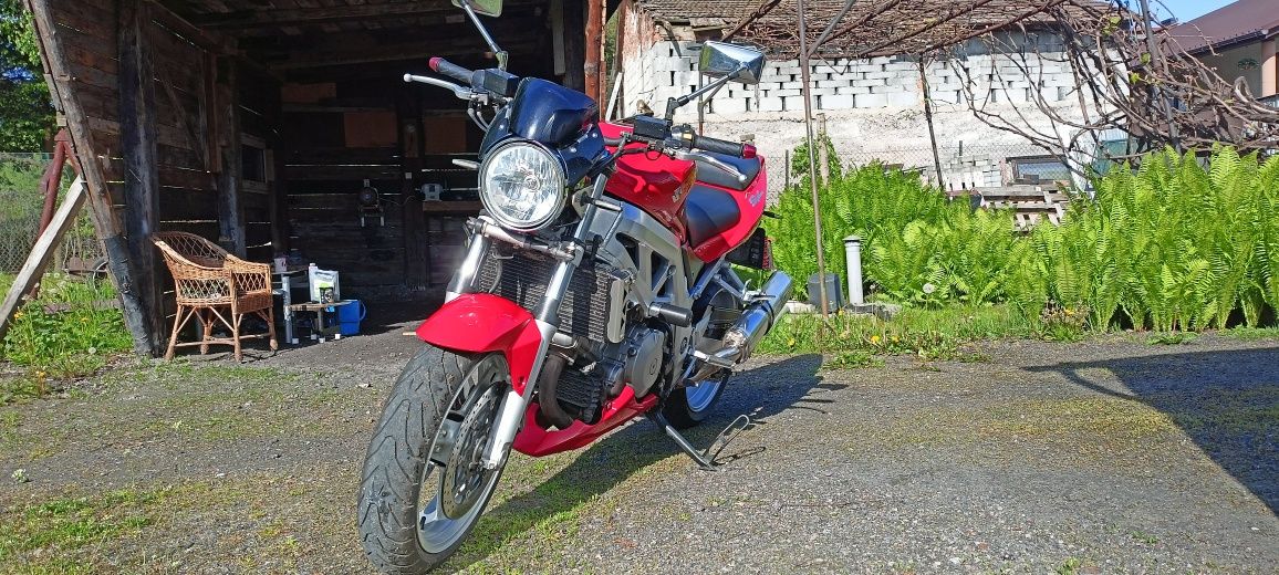 Suzuki SV 1000 n