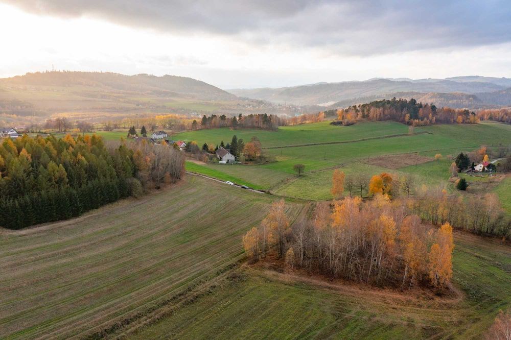 Działka budowlana  0.1260 ha w górach Dzikowiec, Nowa Ruda