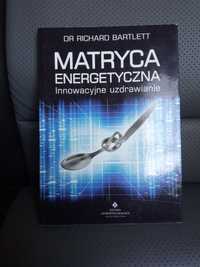 Matryca energetyczna Richard Bartlett