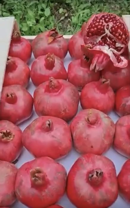 Гранат азербайджан
