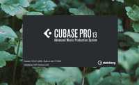 Cubase 13 Pro - Licença/Software