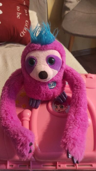 Leniwiec Slowy. Urocza zabawka