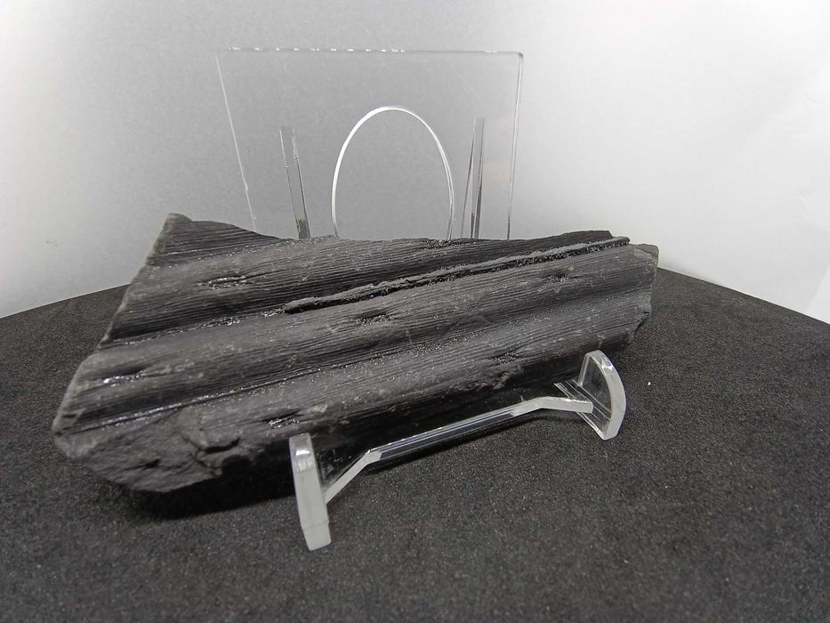 Skamieniałość Karbońska - Kora Sygilarii z Pirytem